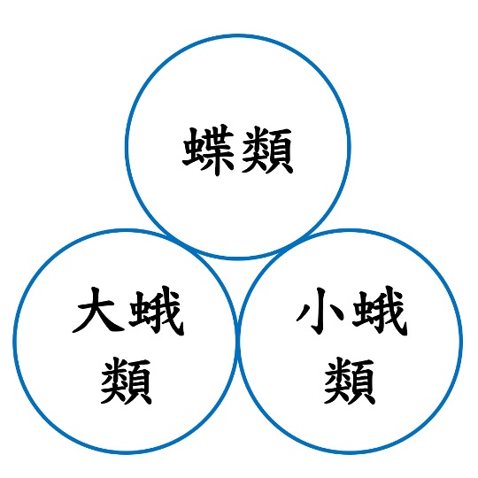 鱗翅目_Title